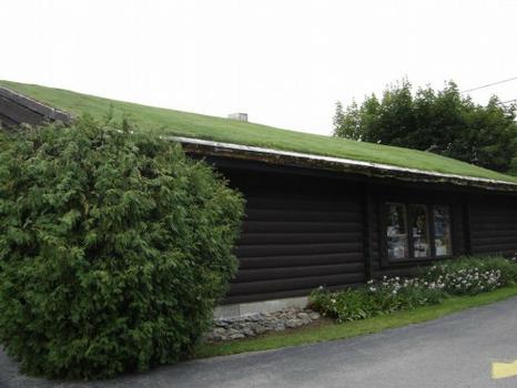 As coberturas vegetais servem para amenizar os efeitos do aquecimento global, al�m de brindarem a paisagem das cidades com a beleza e o frescor da natureza - Reprodu��o/Internet/Casosdecasa