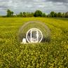 Cristal Bubble (Cristal Bubble)