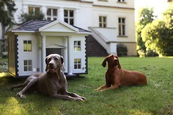 A empresa alemã Best Friend's Home criou casas de cachorro que lembram belas mansões em miniatura. Para quem gosta de cães e design, as casinhas oferecem a oportunidade de levar o bom da arquitetura para esses amigos fiéis. Na foto, o modelo Alabama   - Best Friend's Home/Divulgação