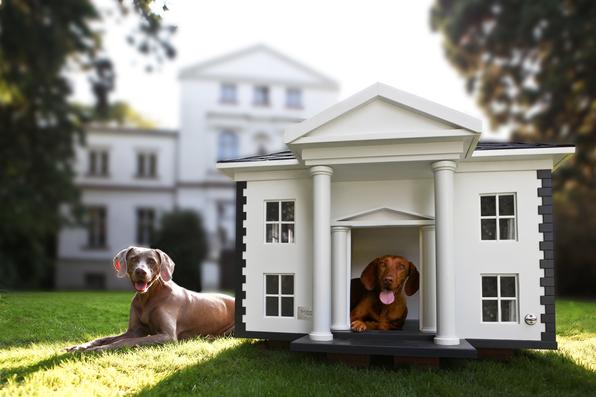 A empresa alemã Best Friend's Home criou casas de cachorro que lembram belas mansões em miniatura. Para quem gosta de cães e design, as casinhas oferecem a oportunidade de levar o bom da arquitetura para esses amigos fiéis. Na foto, o modelo Alabama   - Best Friend's Home/Divulgação