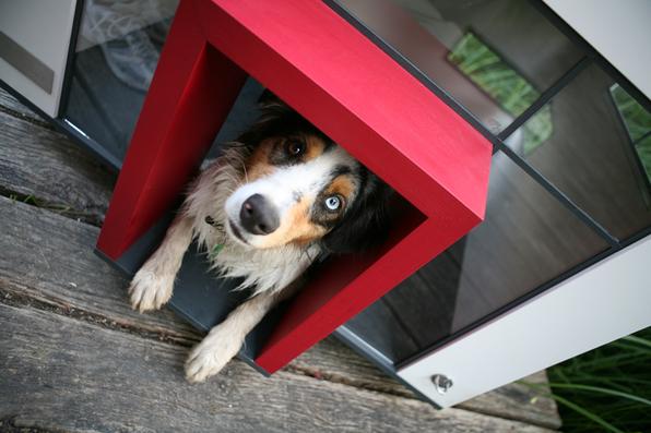 A empresa alemã Best Friend's Home criou casas de cachorro que lembram belas mansões em miniatura. Para quem gosta de cães e design, as casinhas oferecem a oportunidade de levar o bom da arquitetura para esses amigos fiéis. Na foto, o modelo Cubix   - Best Friend's Home/Divulgação