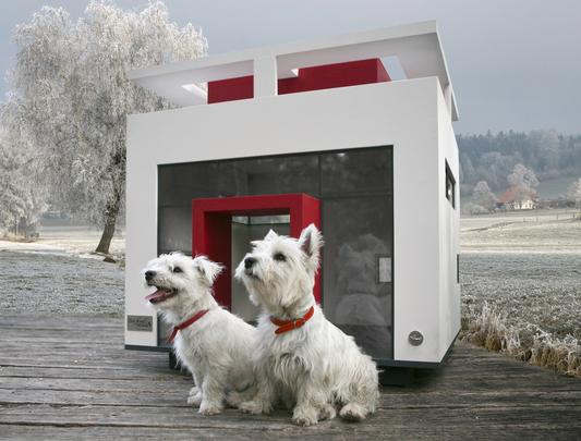 A empresa alemã Best Friend's Home criou casas de cachorro que lembram belas mansões em miniatura. Para quem gosta de cães e design, as casinhas oferecem a oportunidade de levar o bom da arquitetura para esses amigos fiéis. Na foto, o modelo Cubix   - Best Friend's Home/Divulgação