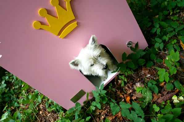 A empresa alemã Best Friend's Home criou casas de cachorro que lembram belas mansões em miniatura. Para quem gosta de cães e design, as casinhas oferecem a oportunidade de levar o bom da arquitetura para esses amigos fiéis. Na foto, o modelo Fairytale    - Best Friend's Home/Divulgação