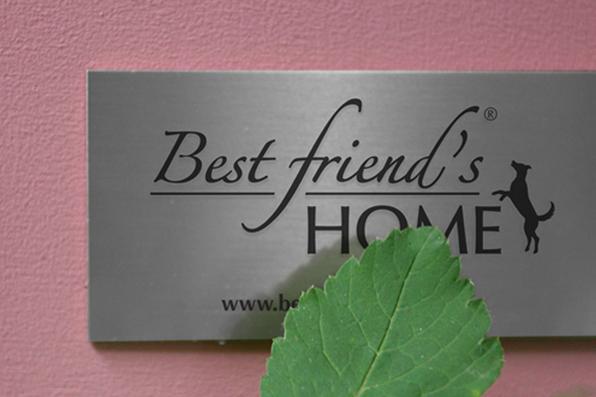 A empresa alemã Best Friend's Home criou casas de cachorro que lembram belas mansões em miniatura. Para quem gosta de cães e design, as casinhas oferecem a oportunidade de levar o bom da arquitetura para esses amigos fiéis. Na foto, o modelo Fairytale    - Best Friend's Home/Divulgação