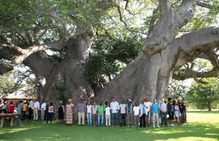 Bar na África do Sul convida a encontrar os amigos dentro de árvore milenar. Pub foi construído no interior do tronco de um baobá de mais de 40 m de circunferência e origem anterior ao nascimento de Cristo