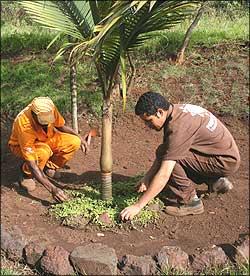 Preparar a terra e cuidar de plantas ornamentais s�o trabalhos que tornam o ambiente mais agrad�vel (Gladyston Rodrigues/Especial para o EM)