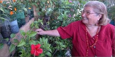 A dona-de-casa Terezinha Reis usa a sabedoria de família para cuidar do jardim que montou no quintal (Beto Magalhães/Em/D.A Press) A dona-de-casa Terezinha Reis usa a sabedoria de família para cuidar do jardim que montou no quintal (Beto Magalhães/Em/D.A Press)