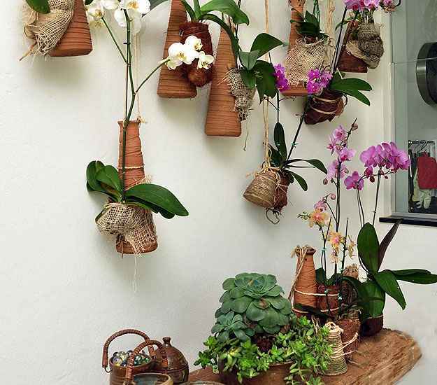 (Eduardo Almeida/RA Studio) (Eduardo Almeida/RA Studio)