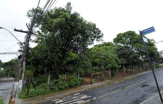 Ruas já urbanizadas no Bairro Novo Eldorado: infraestrutura pronta e diversos lotes disponíveis (Maria Tereza Correia/EM/D.A PRESS) Ruas já urbanizadas no Bairro Novo Eldorado: infraestrutura pronta e diversos lotes disponíveis (Maria Tereza Correia/EM/D.A PRESS)