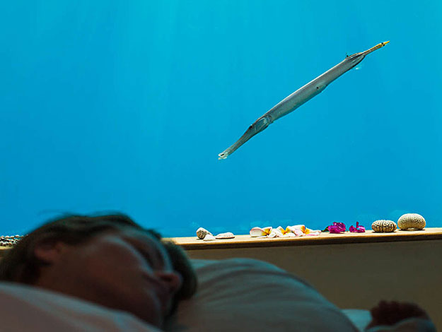  (Manta Resort/Divulgação)
